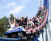 wedding on a roller coaster